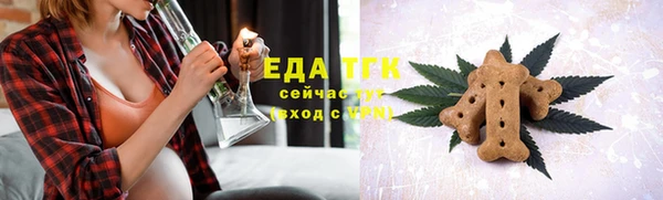 индика Волоколамск