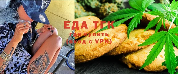 индика Волоколамск