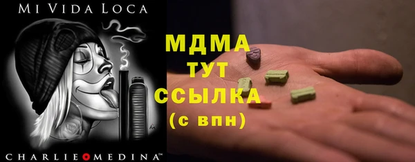 индика Волоколамск