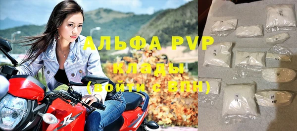 индика Волоколамск