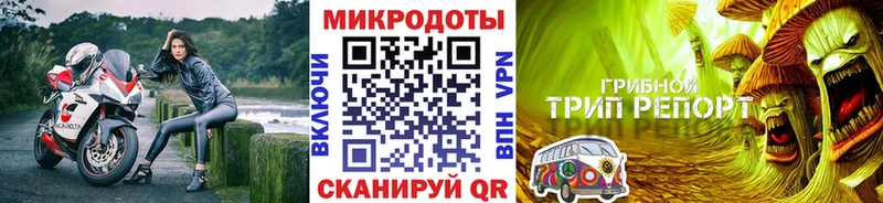 ссылка на мегу ТОР  Зверево  Псилоцибиновые грибы MAGIC MUSHROOMS 